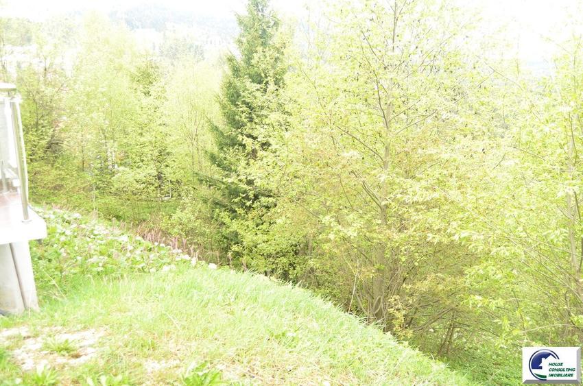 Teren investitional in Predeal-Cioplea - 2