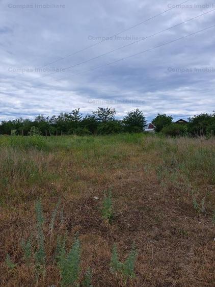 TEREN INTRAVILAN  COMUNA GIROV SAT DANESTI - 2