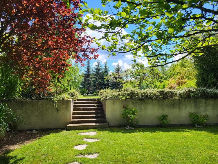 Dimineți pe ponton, seri la piscină – viața la Snagov. - 2