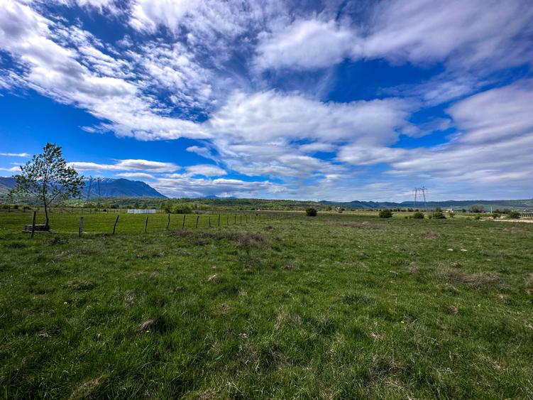Teren Bran Zarnesti 3 km Castelul Bran 25 km Brasov - 7