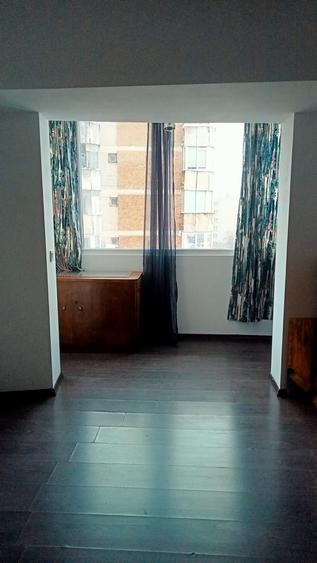 Lacul Tei, Maica Domnului, Domino, Parcul Circului, stradal - 3