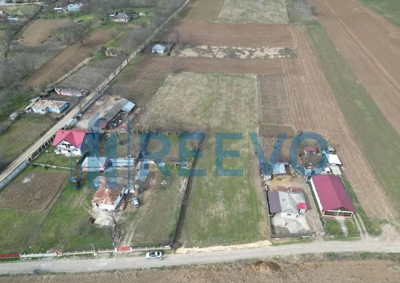 Teren de vanzare, Sat Bazga, Com. Horge?ti, Bacau - 3