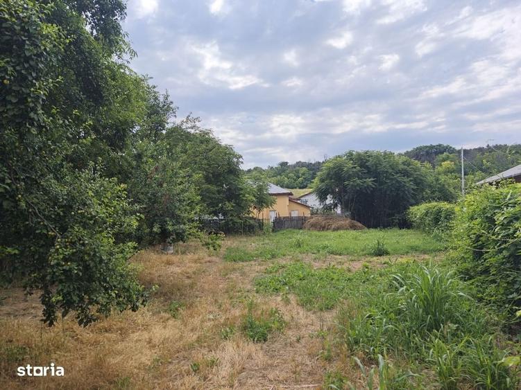 Vand Teren Intravilan 1430 mp Sat Izvoarele, Hotarele Giurgiu - 3