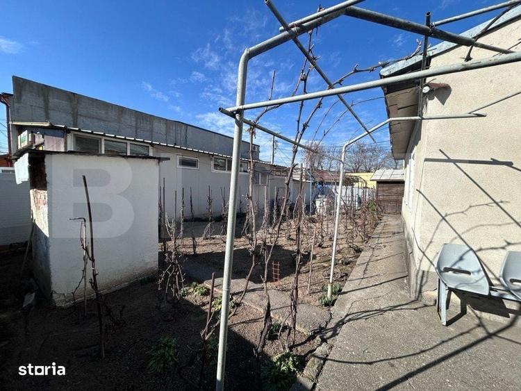 Spațiu comercial, în Brazda lui Novac
