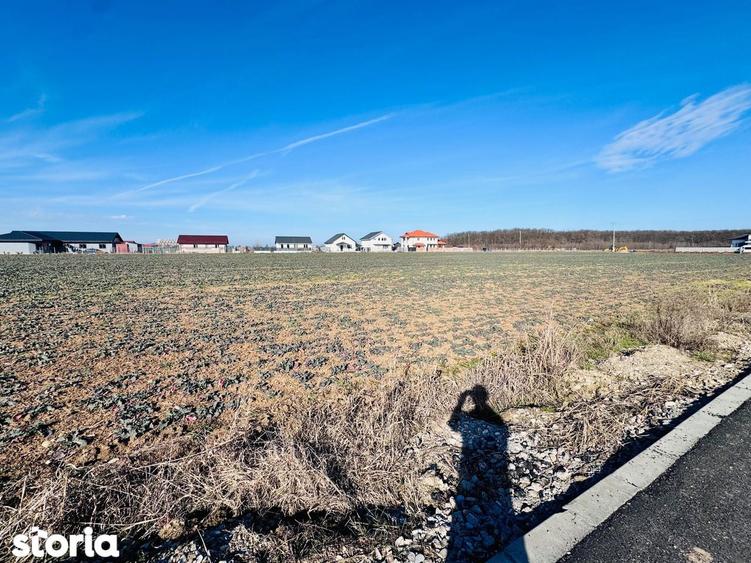 Teren de 1600 mp, în Snagov