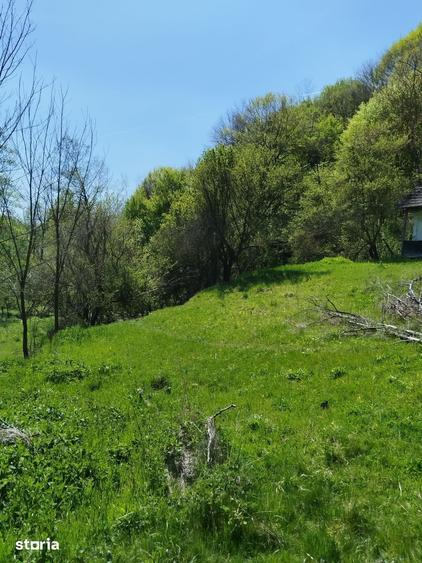 Teren de 7795 mp, în Golești