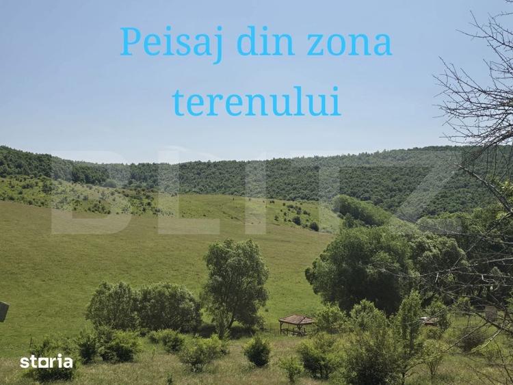 Teren de 1200 mp, în Ciurila