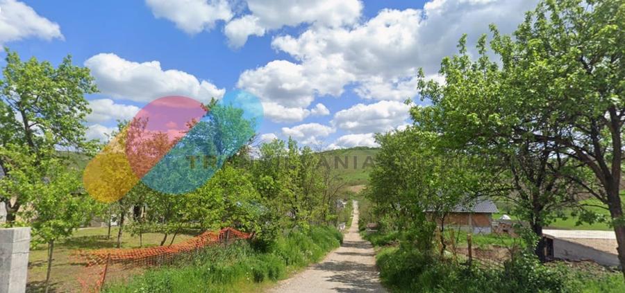 Casă individuală cu 3 camere cu Teren 8000 Mp în Mociu