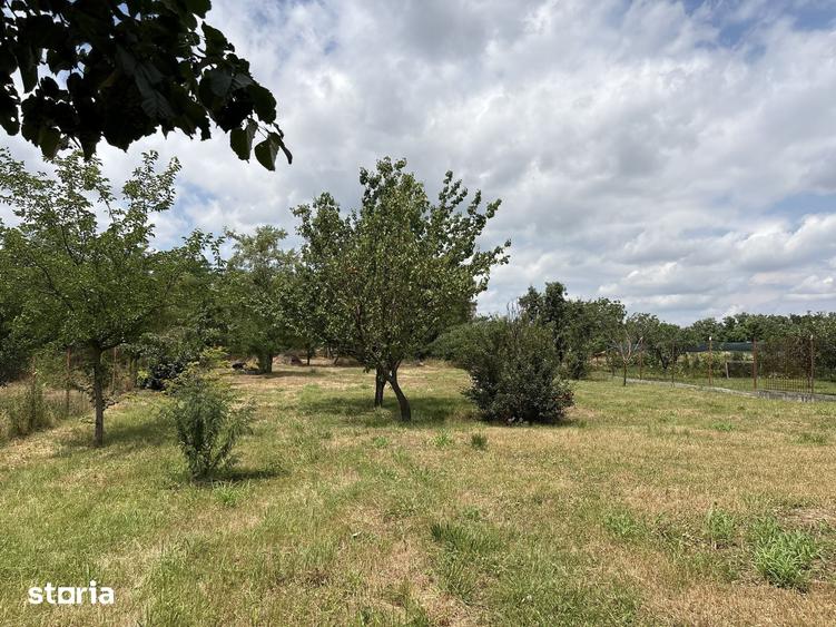 Casă cu 4 camere cu Teren 5000 Mp în Grădinari