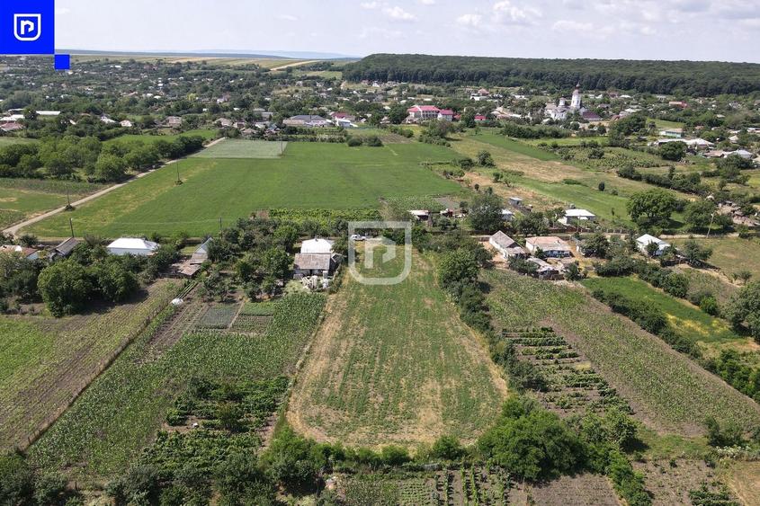 Teren Construcții intravilan de 3285 mp, în Ionășeni (Trușești)