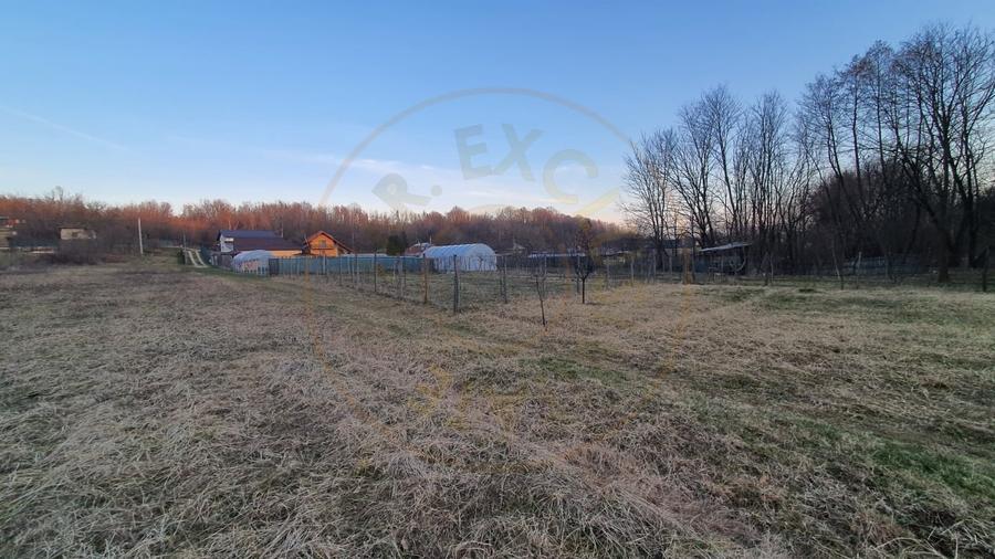 Teren intravilan pentru Casa de Vacanta - Mosoaia -Basangesti - 2