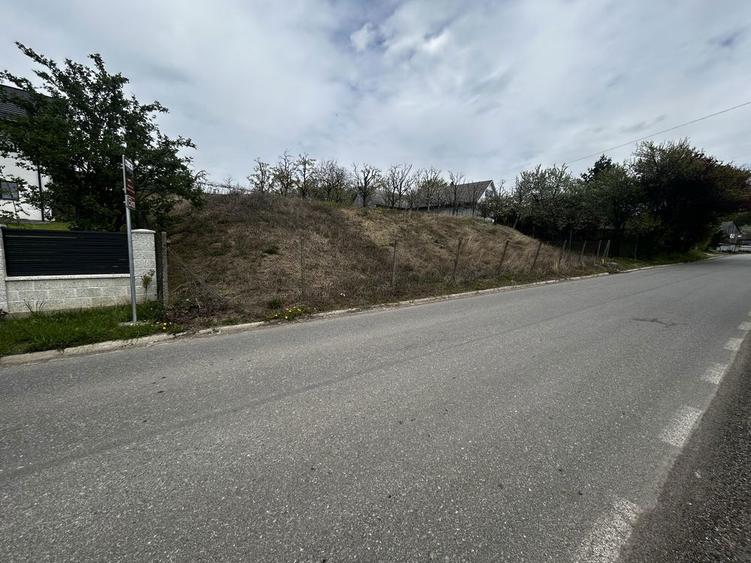Teren intravilan 3600 mp Str. Lovinescu, Radaseni, toate utilitatile - 2