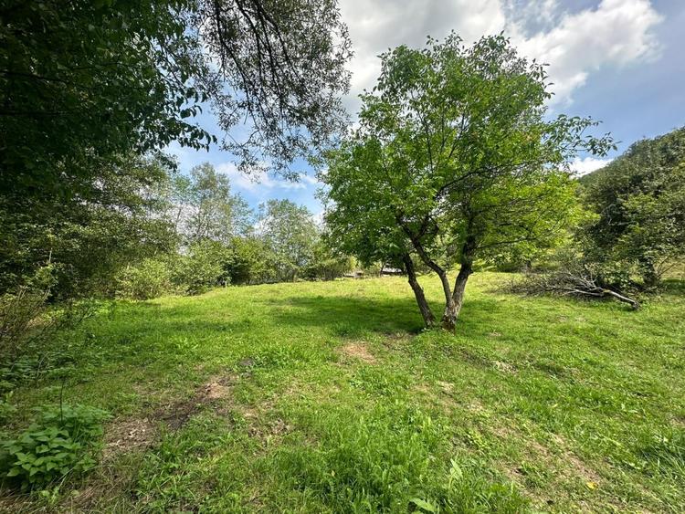 Teren 2 hectare pe Valea Ariesului, zona Scarita-Belioara, pret oportun 2 Eur/mp - 6