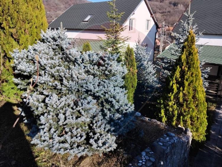 Vilă premium de vânzare | Exclusivitate | Băile Olănești - 16