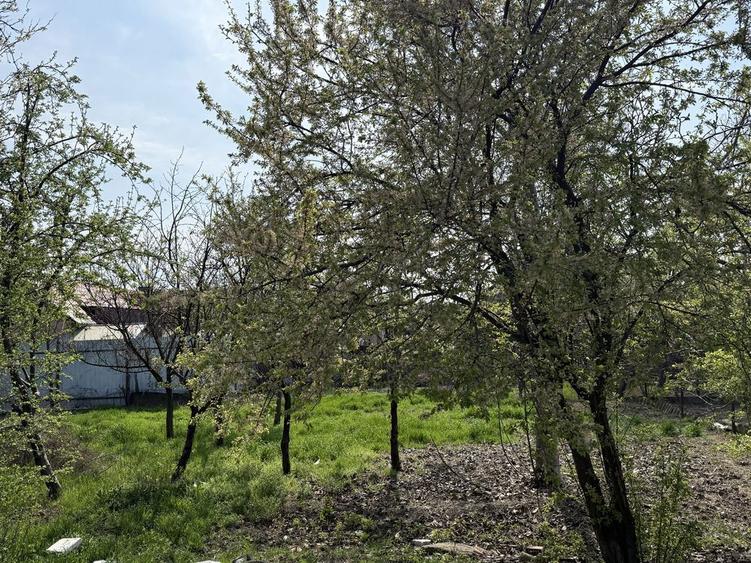 Vand urgent casa in Nadlac - 3