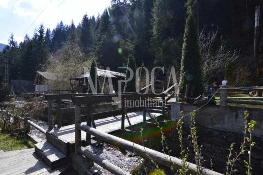 Casa 9 camere de vanzare in Sat Cerc, Valea Ierii - 6