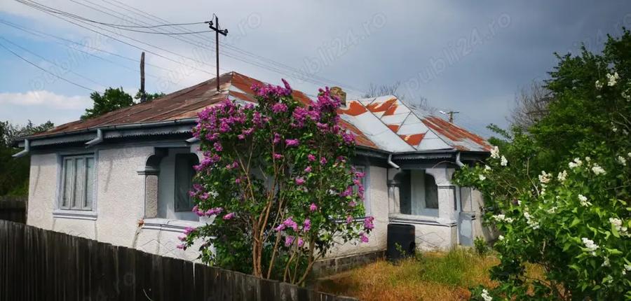 Vand casa batraneasca cu 2200 mp teren intravilan in Bordeasca Veche, Vrancea - 4