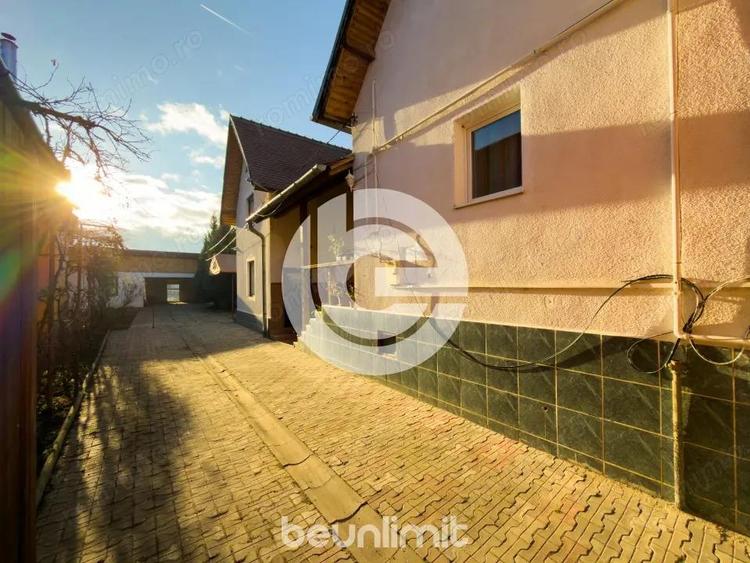 Bradul il mu?i u?or. Casa, mai rar! - 7