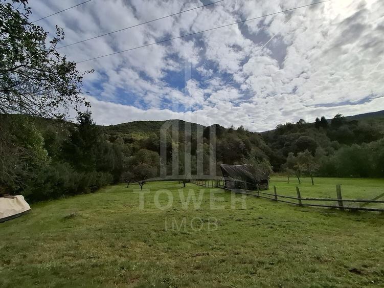 Teren Intravilan de Vânzare – 3622 mp – Râu Sadului - 3