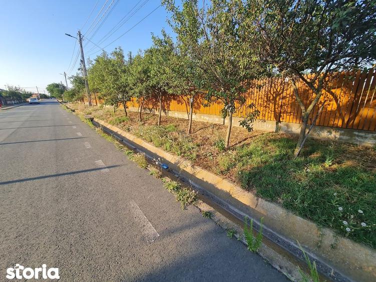Ceamurlia de jos- casa batraneasca cu 3.200 mp teren - 2