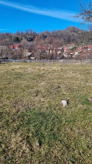 Teren intravilan  - 1