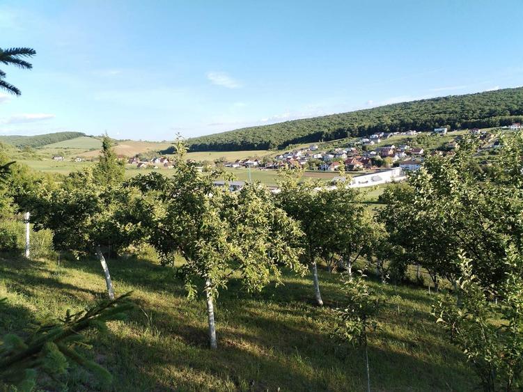 Teren Intravilan de vanzare in Targu Mures zona budiu mic - 5