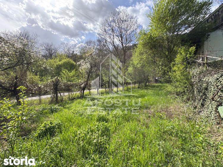 Casa batraneasca cu 2 camere, vedere panoramica, in Toplita, Hunedoara - 4