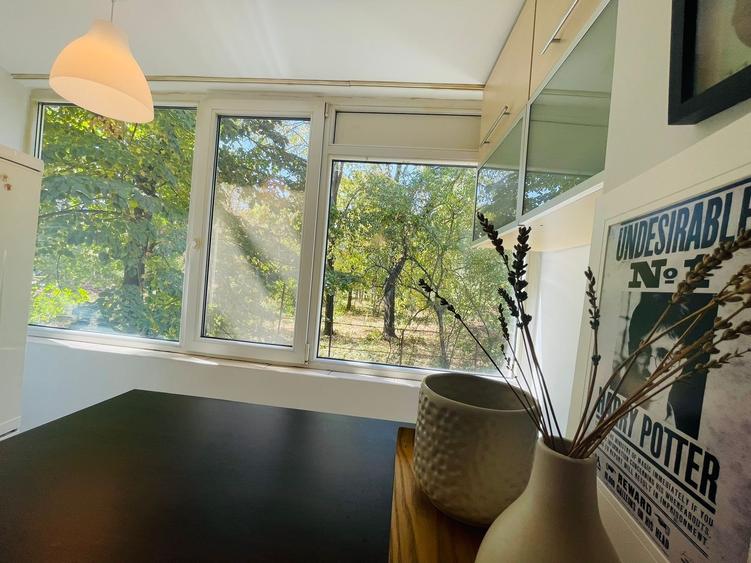 Apartament 2 camere, Baba Novac, 600m fata de metrou Dristor2, parc IOR la 8 min - 11