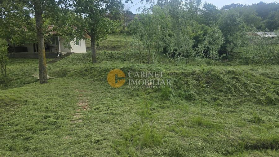 Oază de liniște și natură! Casă  cu 2 heleșteie și pârâu în curte – Probota - 8
