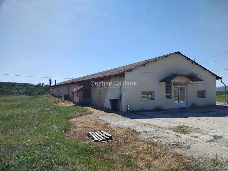 Hala industriala de vanzare sau inchiriere Misca - judetul Bihor - 972 mp construiti -Teren 12538