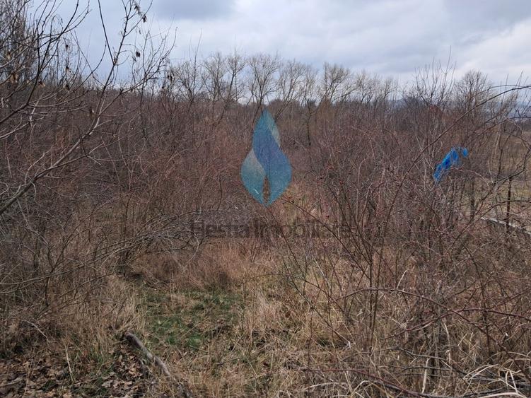 1644mp teren intravilan pentru constructii, Barnova. - 3