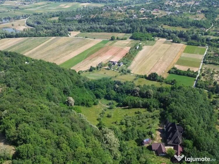 CASTEL DE VANZARE IN MARAMURES - 1