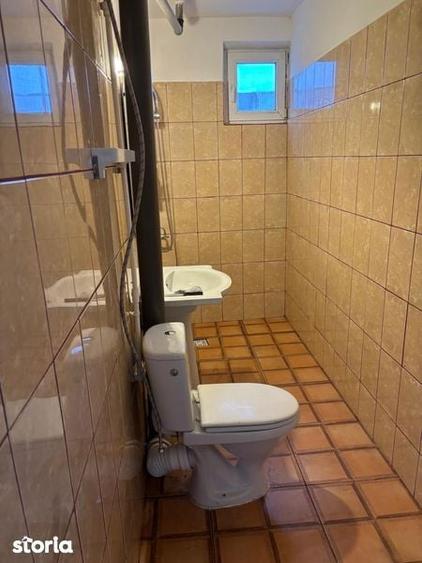 Apartament Potile de Fier 2 Gogosu - 6