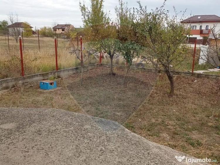 Vanzare Casa / Vila 5 camere Saftica Primarie - 15