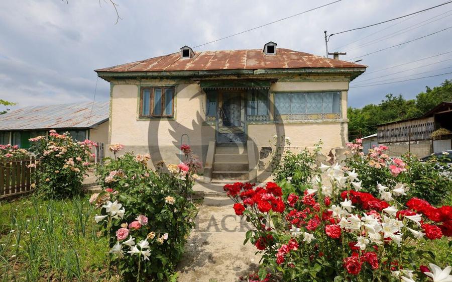 Casa cu 5 camere de vanzare | 700 mp teren | Valea Dulce,... - 1