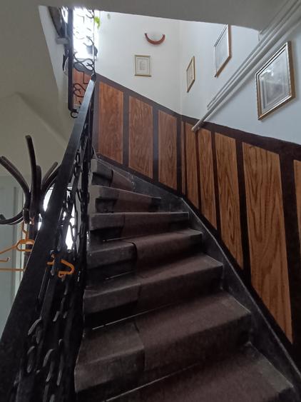 Vila deosebita in zona Cantacuzino - 5