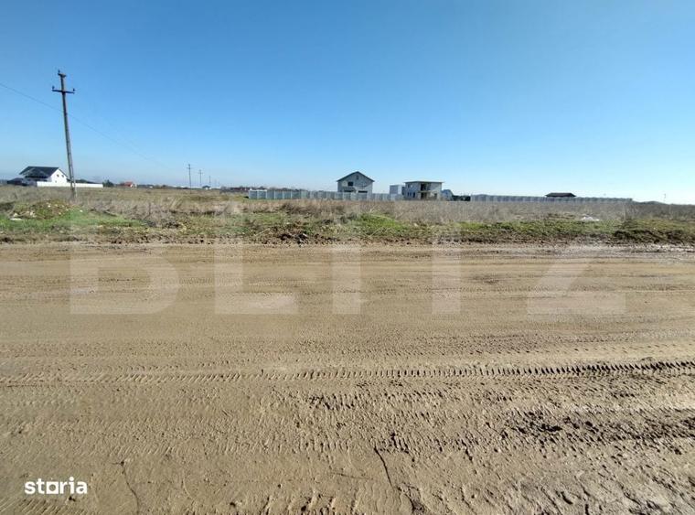 Lot 5 parcele intravilan, Metro, 7439 mp, acces la utilitati - 5