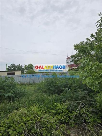 Teren 1 Decembrie VI 011 - 7