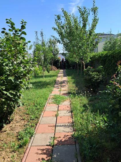 Dumbravita-apartament in triplex-190.000 € - 4