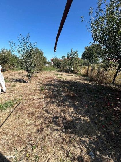 De vanzare casa la 5 min de Roman, suprafata teren 900 mp, 55.000 euro - 5
