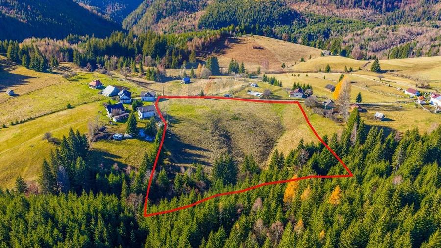 COMISION 0% Teren 13,800mp Fundatica / Intravilan - 7