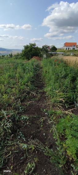 Teren extravilan de vanzare 1500 mp in Popesti Deal, Cluj - 8