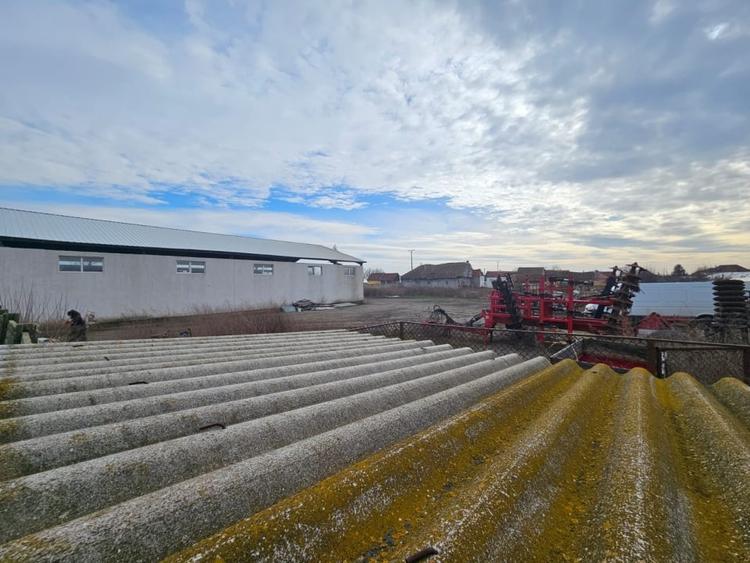 Gotlob - Hala Utilaje - Casa rosu - 7