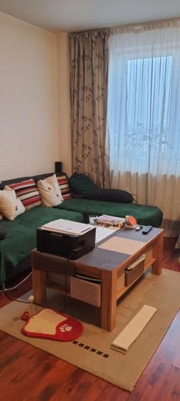 Duplex 2 camere zona Faget-luminos - 15