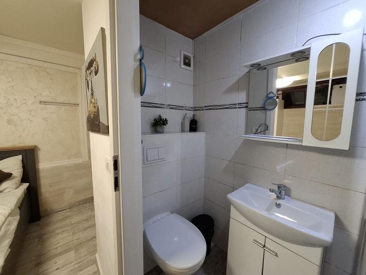 Garsoniera de inchiriat  in Vila Calea Dudesti  Centrala L344 - 8