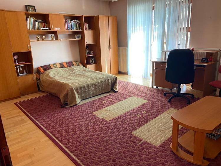 Proprietate inedita cu teren de 4400, si deschidere cu ponton pe Bega - 6