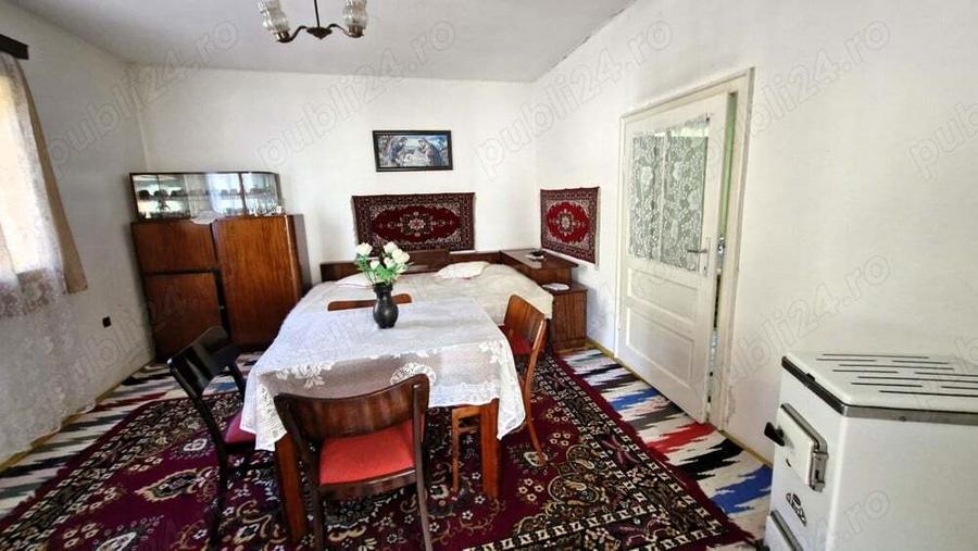 Casa cu teren 3000m2 intravilan - 4