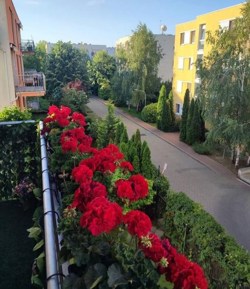 Vanzare apartament cu 3 camere 90 mp utili, în Residenz, Cartierul German! - 14