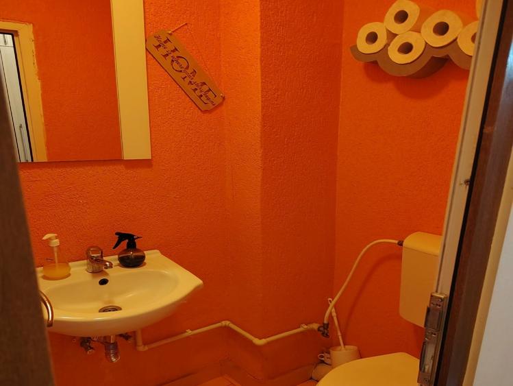 3 camere decomandat Lapus-Arges - 14