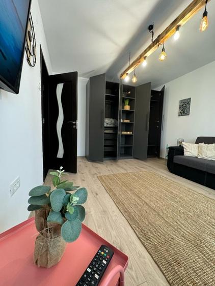 Ofer spre inchiriere  garsoniera 400E - 5